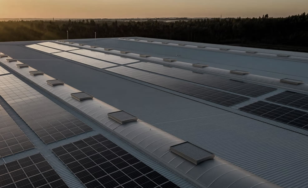 Delhi 2026 Cricket League